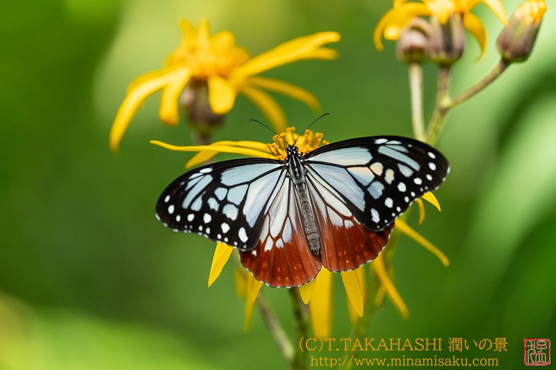 ../Images/7R240815 (252).jpg